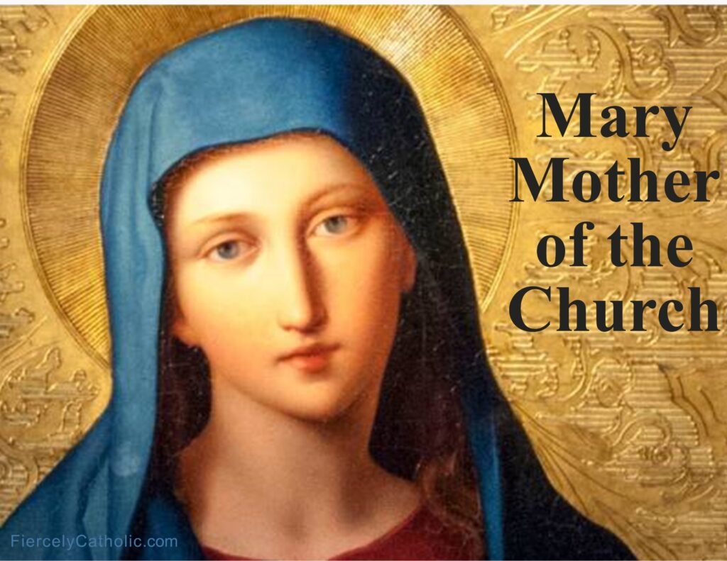 Mary, Mother of the Church Fiercely Catholic